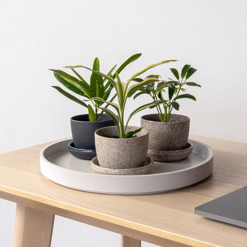 eco planter pots Eco Planter – Robin Hollow Farm