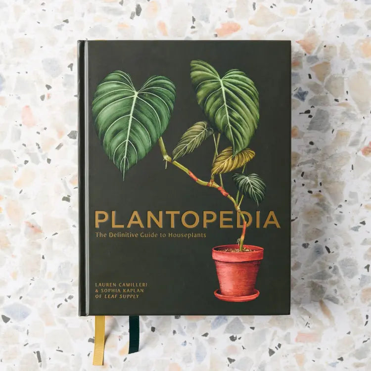house plants for all book Plantopedia: The Definitive Guide to Houseplants