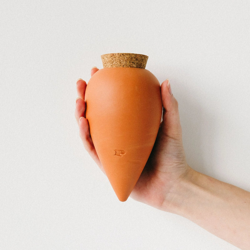 Olla Pepin Watering System