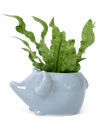 Mouse Ceramic Indoor Plant Pot For Succulents