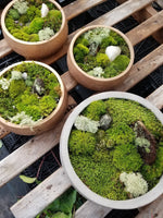 Moss Garden Workshop: December 13