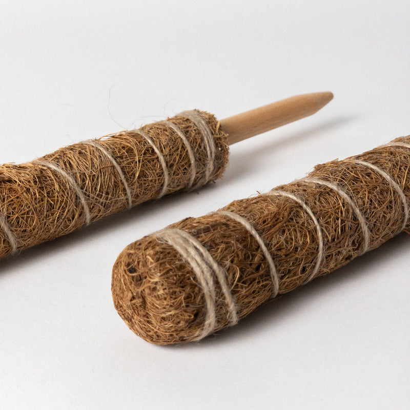 Coco Coir Pole for Plant Support
