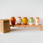 Olla Pepin Watering System
