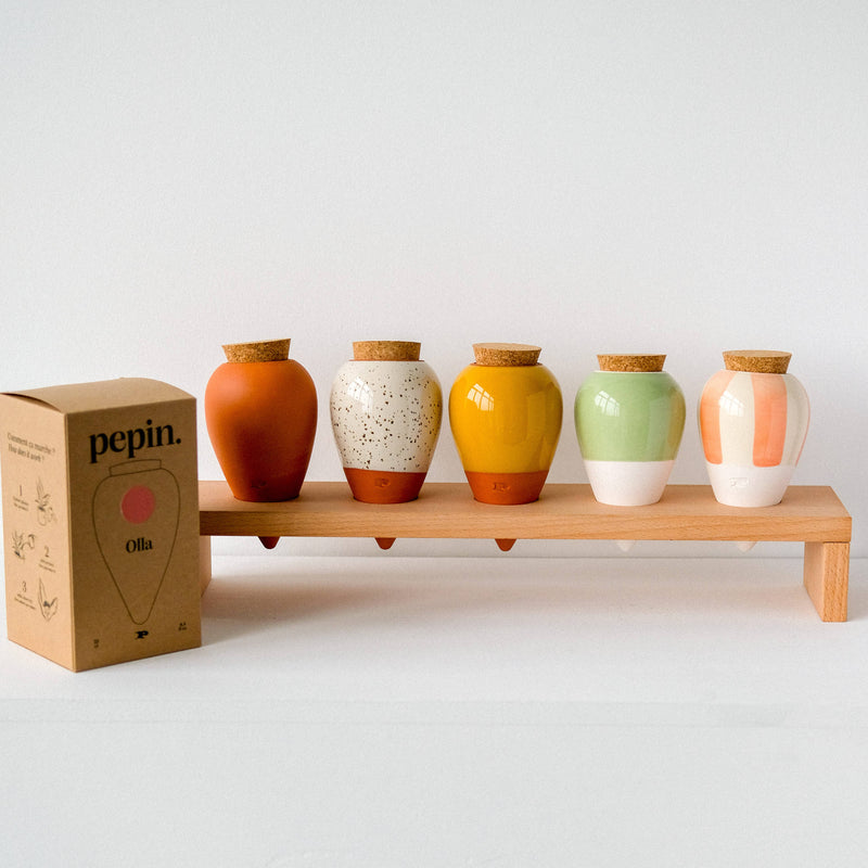 Olla Pepin Watering System