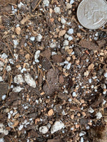 Houseplant Chunky Soil Mix (Aroid/Tropical): 1 Gallon