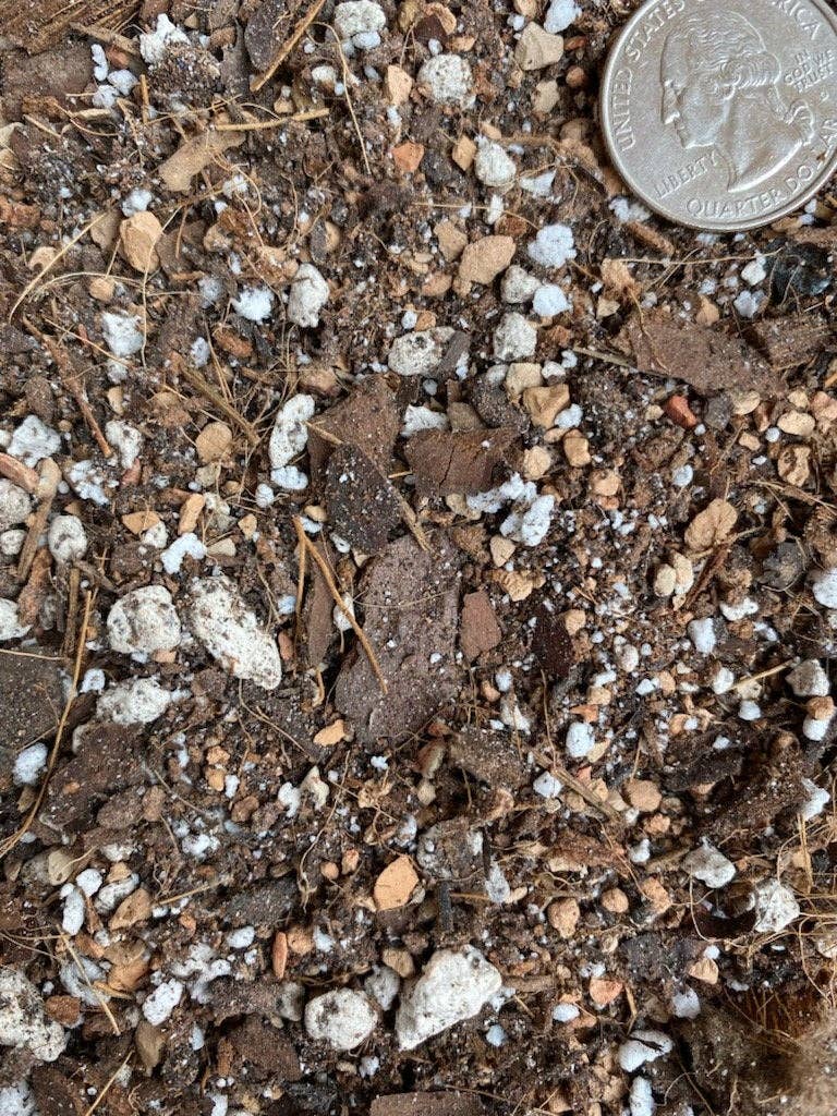 Houseplant Chunky Soil Mix (Aroid/Tropical): 1 Gallon