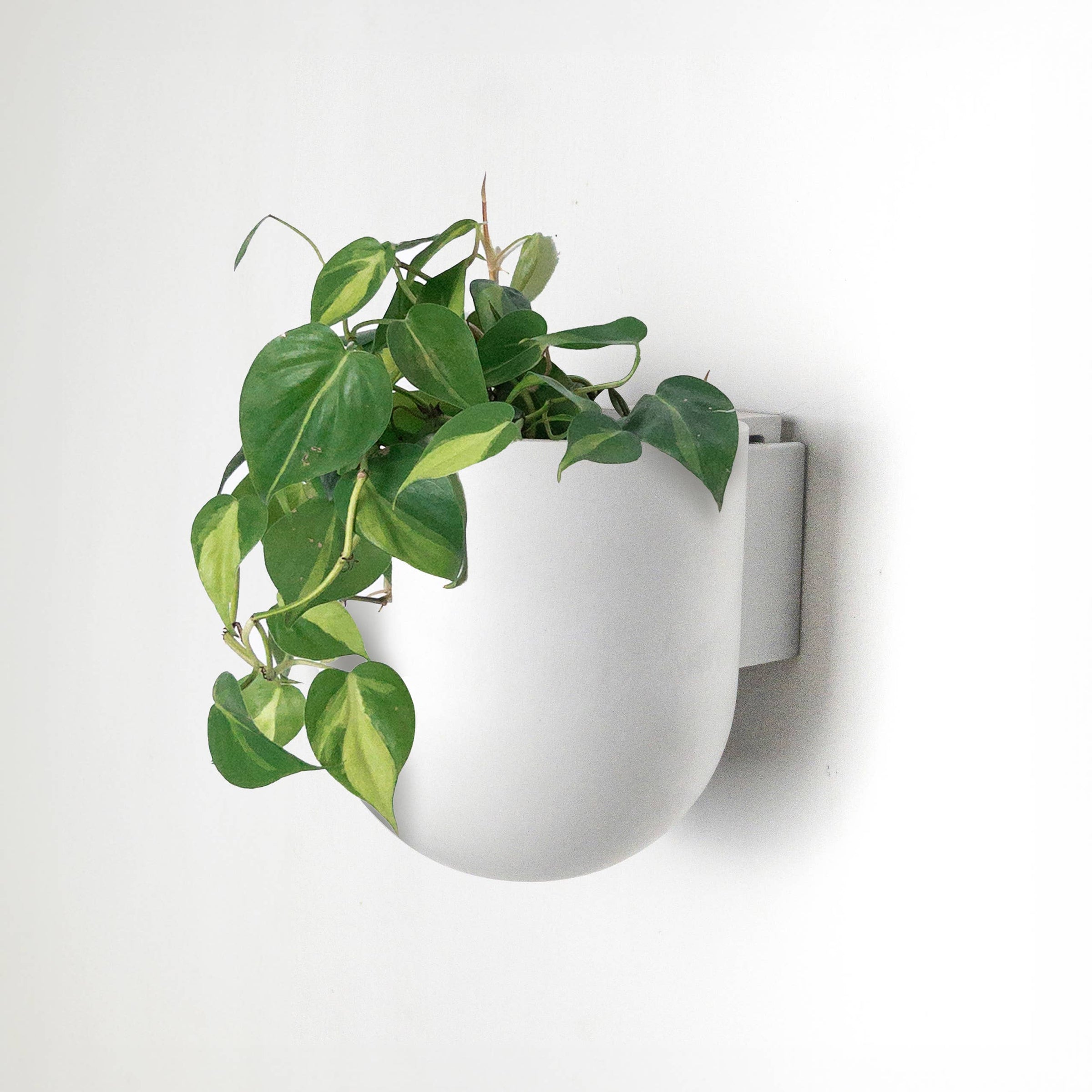 plant pots to hang on wall 5" & 7" Wall Mounted Recycled Plastic Planter Pots 5"