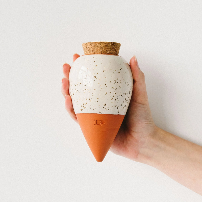 Olla Pepin Watering System