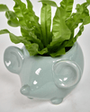 Mouse Ceramic Indoor Plant Pot For Succulents