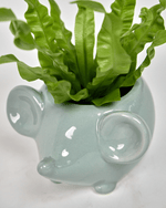 Mouse Ceramic Indoor Plant Pot For Succulents