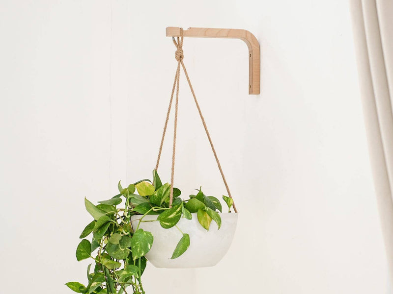 hanging planter hooks Birch Wall Hanger – Robin Hollow Farm