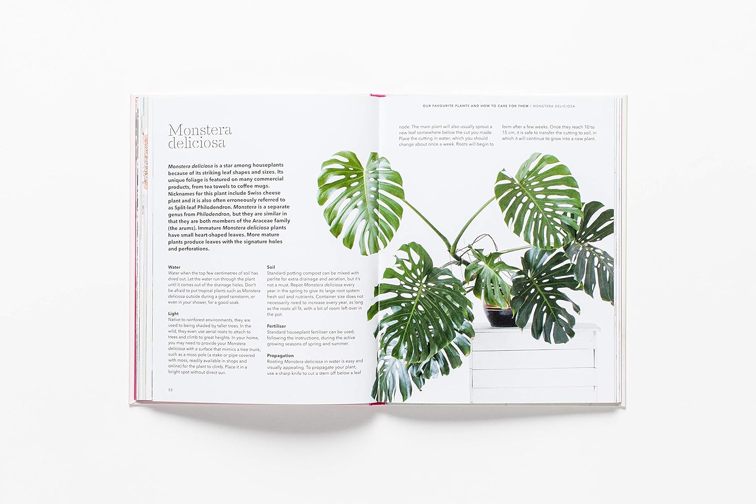 plant love house How to Raise a Plant: and Make It Love You Back – Robin Hollow Farm