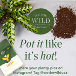 Mess Free Gardening Mat - Set of 2