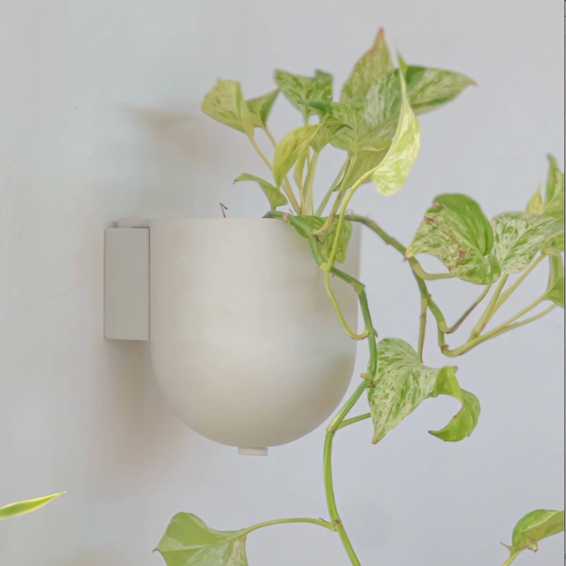 wall hanging plant pots outdoor 5.5" Wall Mounted Upcycled Planter Pot – Robin Hollow Farm