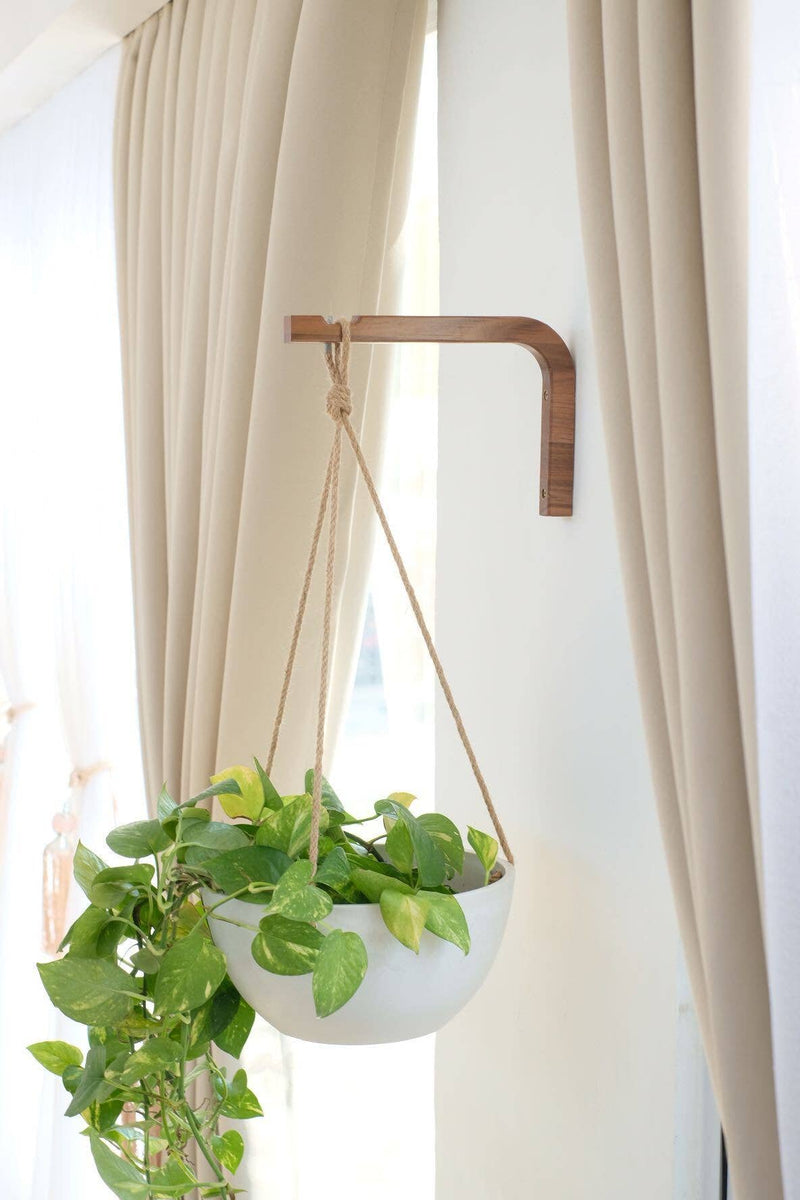 wall hanger for plants Birch Wall Hanger – Robin Hollow Farm