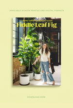 Fiddle Leaf Fig Guide