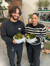 Moss Garden Workshop: December 13