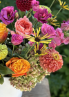 Lively Vibrance
