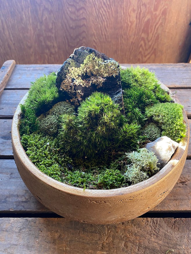 Moss Garden Workshop: December 13