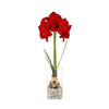 Winter Bulb Kit