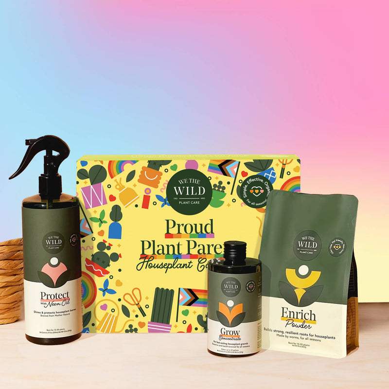 Essential Plant Care Kit