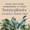 Houseplants and Their Fucked-Up Thoughts by Carlyle Christoff