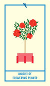 Houseplant Tarot by Minerva Siegel