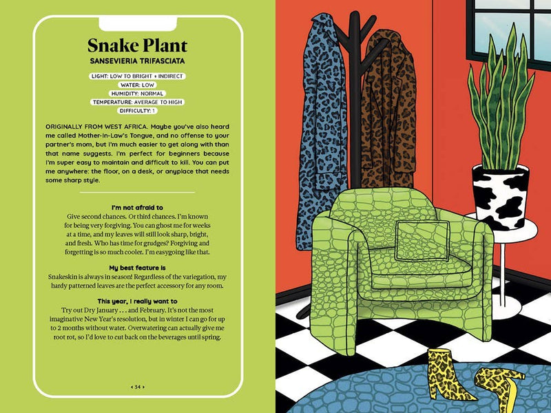 Houseplant Hookups