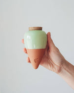 Olla Pepin Watering System