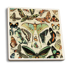 Ceramic Coaster: Butterflies