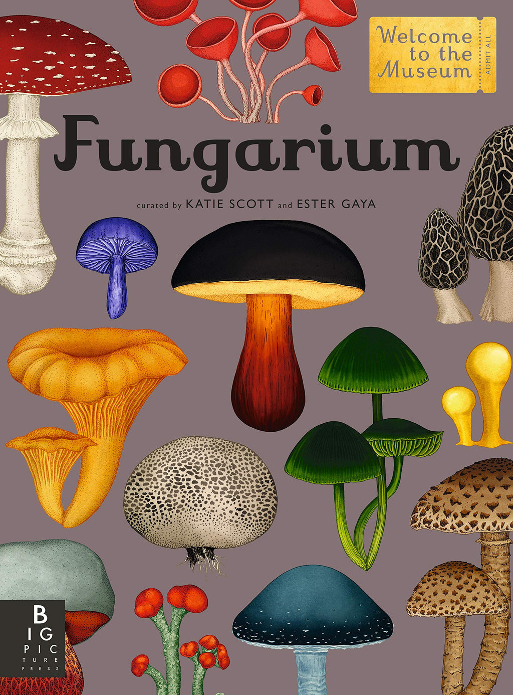 Fungarium_1024x.jpg?v=1674912442