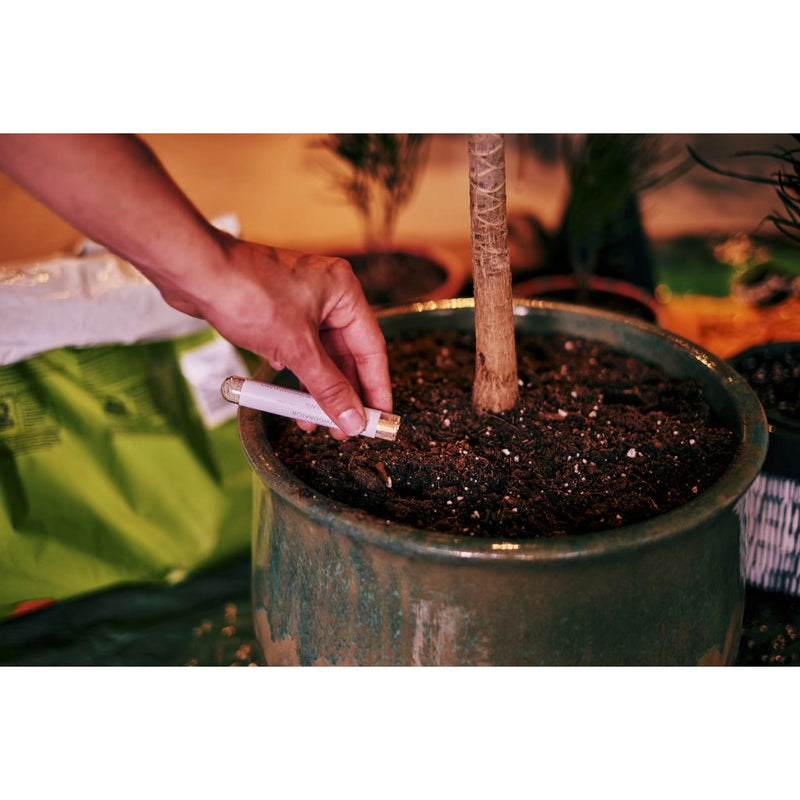 House Plant Invigorator