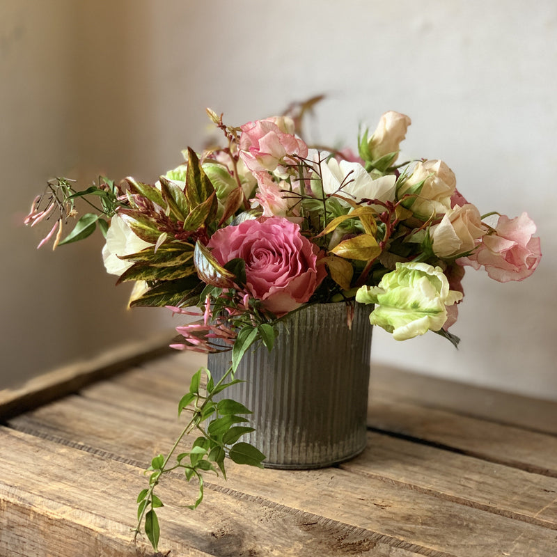 Seasonal Pastels