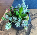 Succulent Planter Subscription