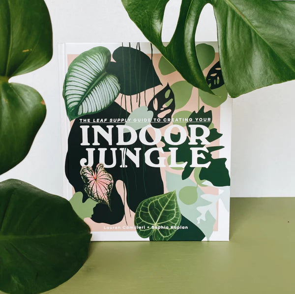 The Leaf Supply Guide to Creating Your Indoor Jungle – Robin