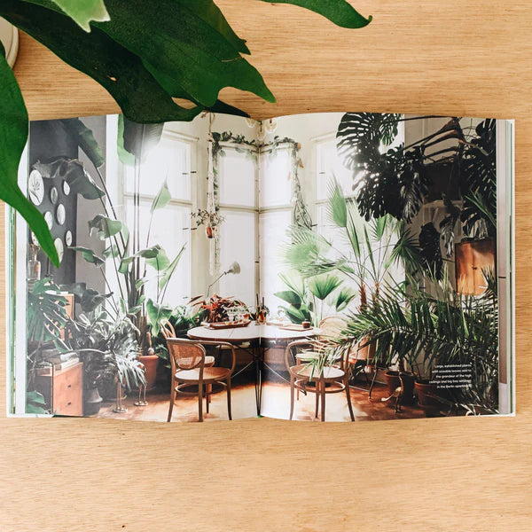 The Leaf Supply Guide to Creating Your Indoor Jungle
