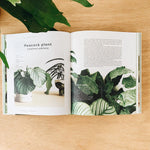 The Leaf Supply Guide to Creating Your Indoor Jungle