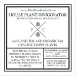 House Plant Invigorator