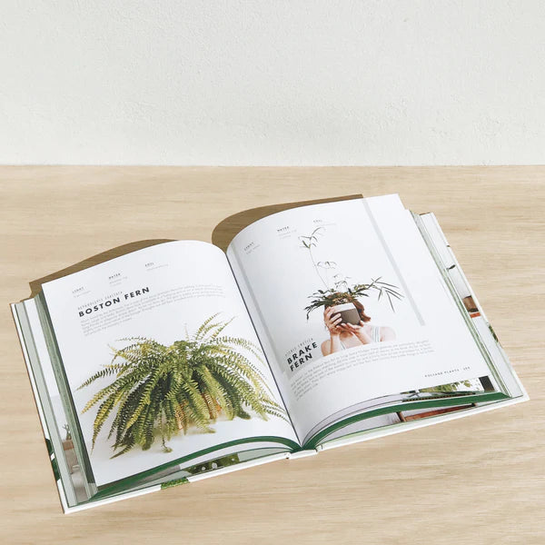 Leaf Supply: A Guide to Keeping Happy House Plants