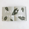 Leaf Supply: A Guide to Keeping Happy House Plants