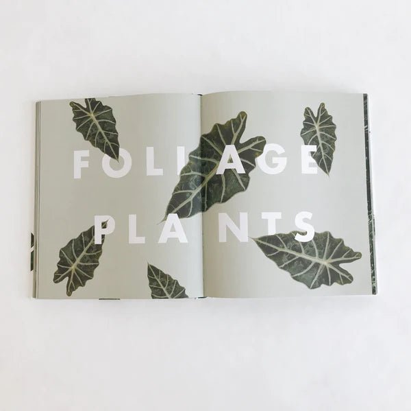 Leaf Supply: A Guide to Keeping Happy House Plants