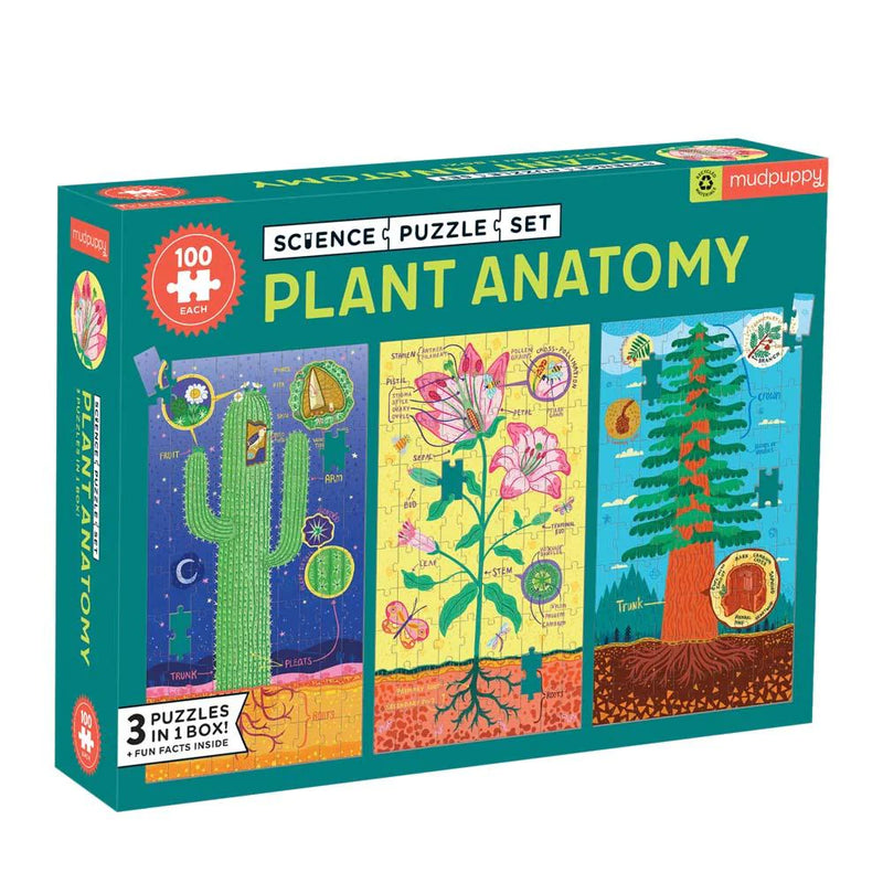Plant Anatomy Science Puzzle Set