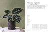 Plantopedia: The Definitive Guide to Houseplants