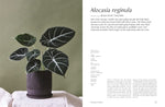 Plantopedia: The Definitive Guide to Houseplants