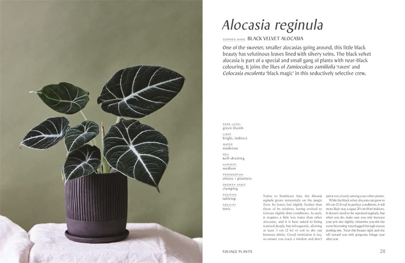 Plantopedia: The Definitive Guide to Houseplants