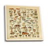 Ceramic Coasters, Mushrooms