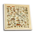 Ceramic Coasters, Mushrooms