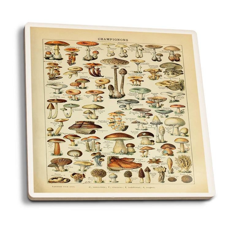 Ceramic Coasters, Mushrooms