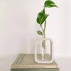 Plant Propagation Cement Station/Vase