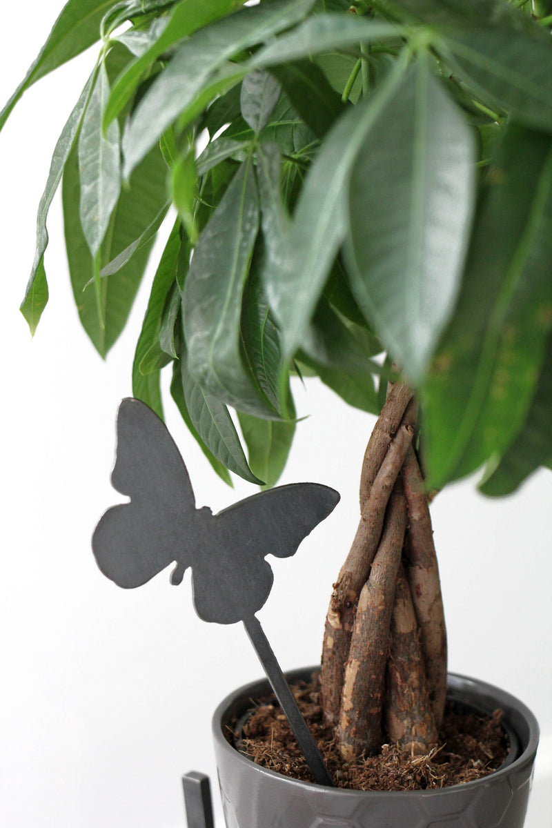 Butterfly Plant Stake